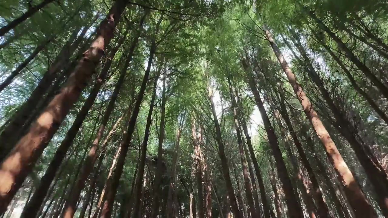 深圳新鹏城客场3-4惜败云南玉昆 1-3落后顽强扳平终场遭绝杀